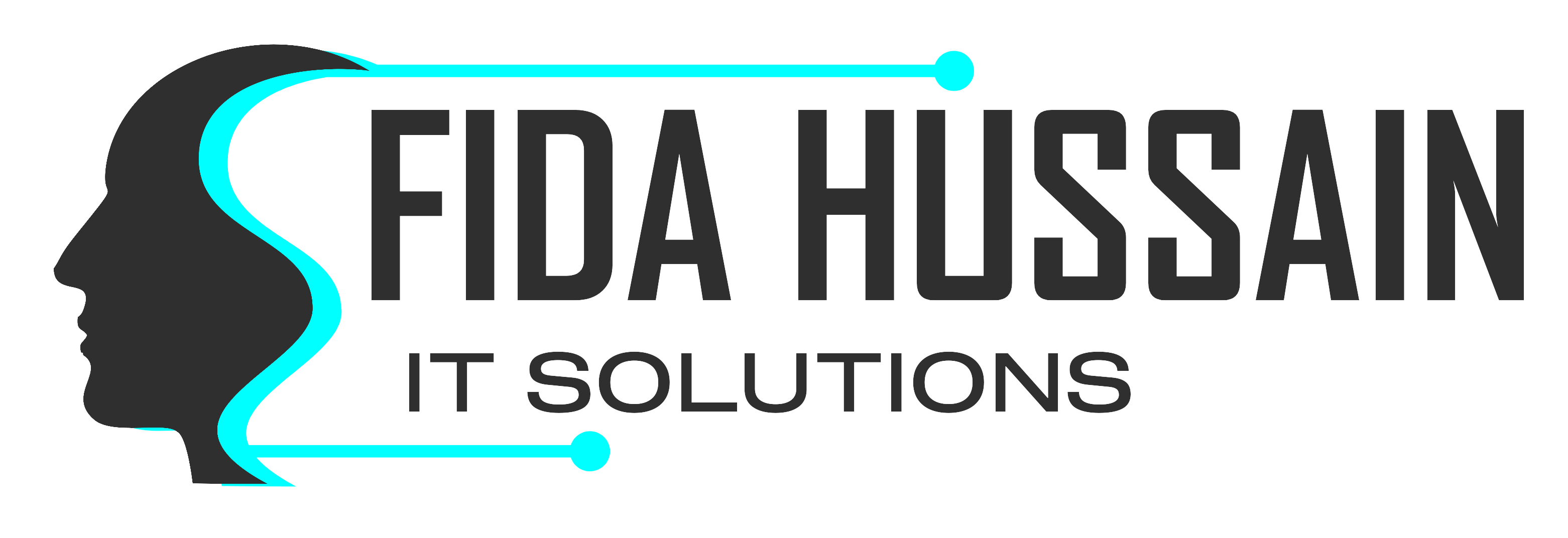 FIDA HUSSAIN INFORMATION TECHNOLOGY L.L.C