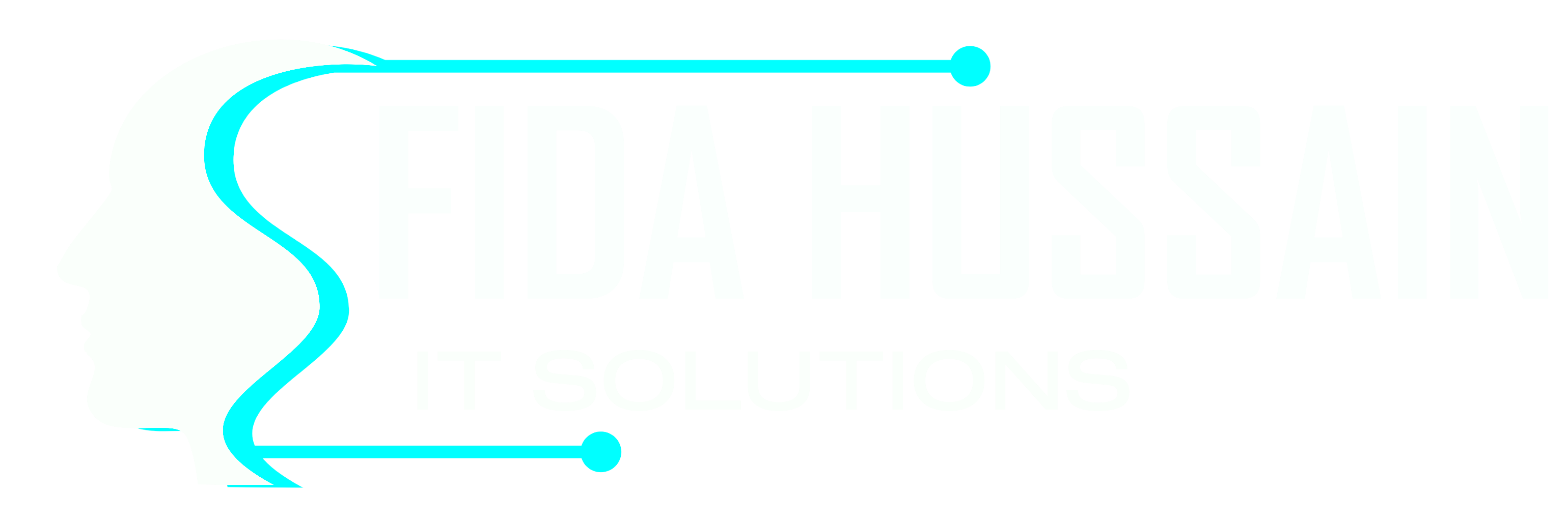FIDA HUSSAIN INFORMATION TECHNOLOGY L.L.C
